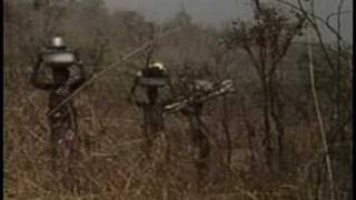 The Blooms Of Banjeli - PREVIEW