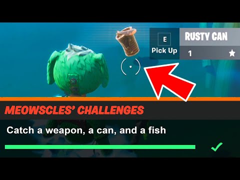Catch a weapon, a can, and a fish Fortnite