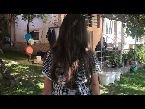 Roxana Marc, „Berința”