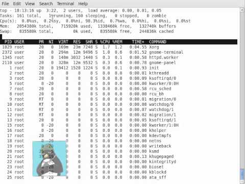 LPIC-2 200.1 Load Averages from uptime, sar, top and w
