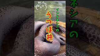 インドネシアの「うつぼ丼!?」