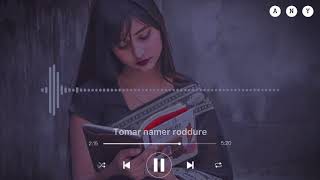 Any- Tomar Namer Roddure  Lyrics Video  Any