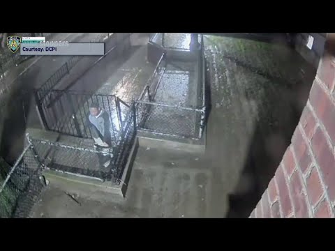 NYPD Arrest Made Involving A Rape Suspect