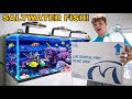 300 Gallon Saltwater Aquarium For Sale