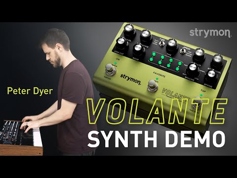 Strymon Volante - Peter Dyer Synth Examples - Demo