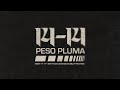 14 14 Lyric Video Peso Pluma