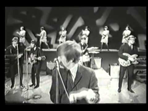 Herman's Hermits I'm Into Something Good