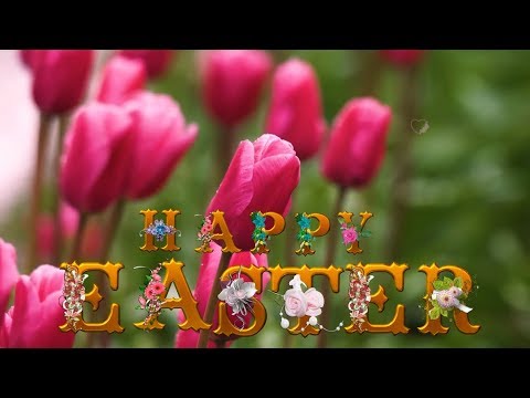 🌷 HAPPY EASTER 2024 🌷