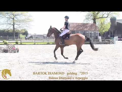 Bartok Diamond