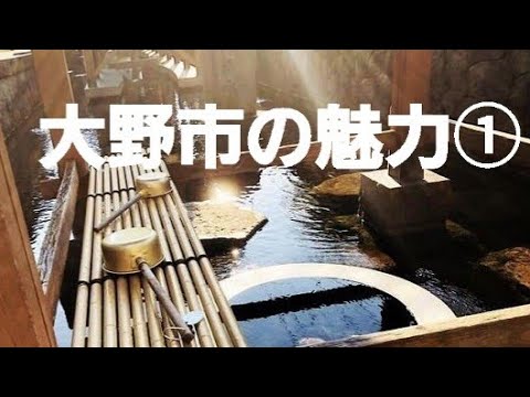 子ども教育学科 リポート①💘大野市の魅力(人が善い、水も良い、空気も美味しい…etc.)を特派員たけむらくんが語る in ☕ CAFÉ & Guesthouse ナマケモノさん