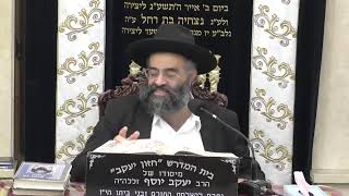 בית המדרש חזון יעקב • יום רביעי' כסלו תשפ'ו (בית הכנסת מוסאיוף) - התמונה מוצגת ישירות מתוך אתר האינטרנט יוטיוב. זכויות היוצרים בתמונה שייכות ליוצרה. קישור קרדיט למקור התוכן נמצא בתוך דף הסרטון