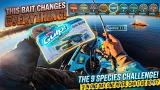 Never Had A Day Like This! 9 Species | Sunrise To Sunset