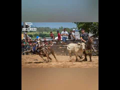 Elson Vaqueiro  - Feriado de Vaqueiro (Forró De Vaquejada)