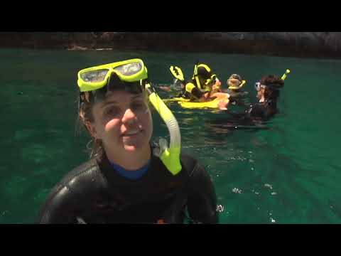 Meet the Locals: Poor Knights