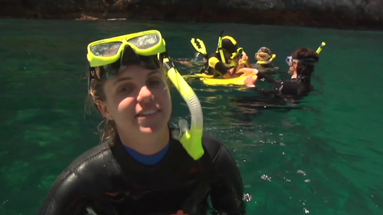 Meet the Locals: Poor Knights