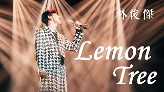 林俊傑 -《Lemon Tree》(Live)(夢想的聲音第三季|無雜音純歌聲版)【CC歌詞Lyrics】