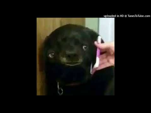 (FREE!) LIL DARKIE x NO MELODY TYPE BEAT “NO TALKING”