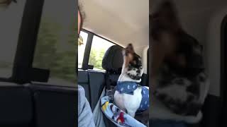 So many things to say