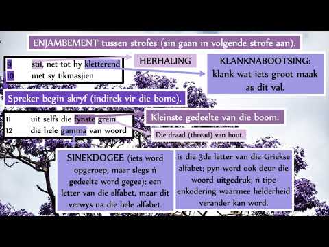 2020 - 2022 PALIMPSES - Johann de Lange (gr12 Afrikaans First Additional Language poem)📃