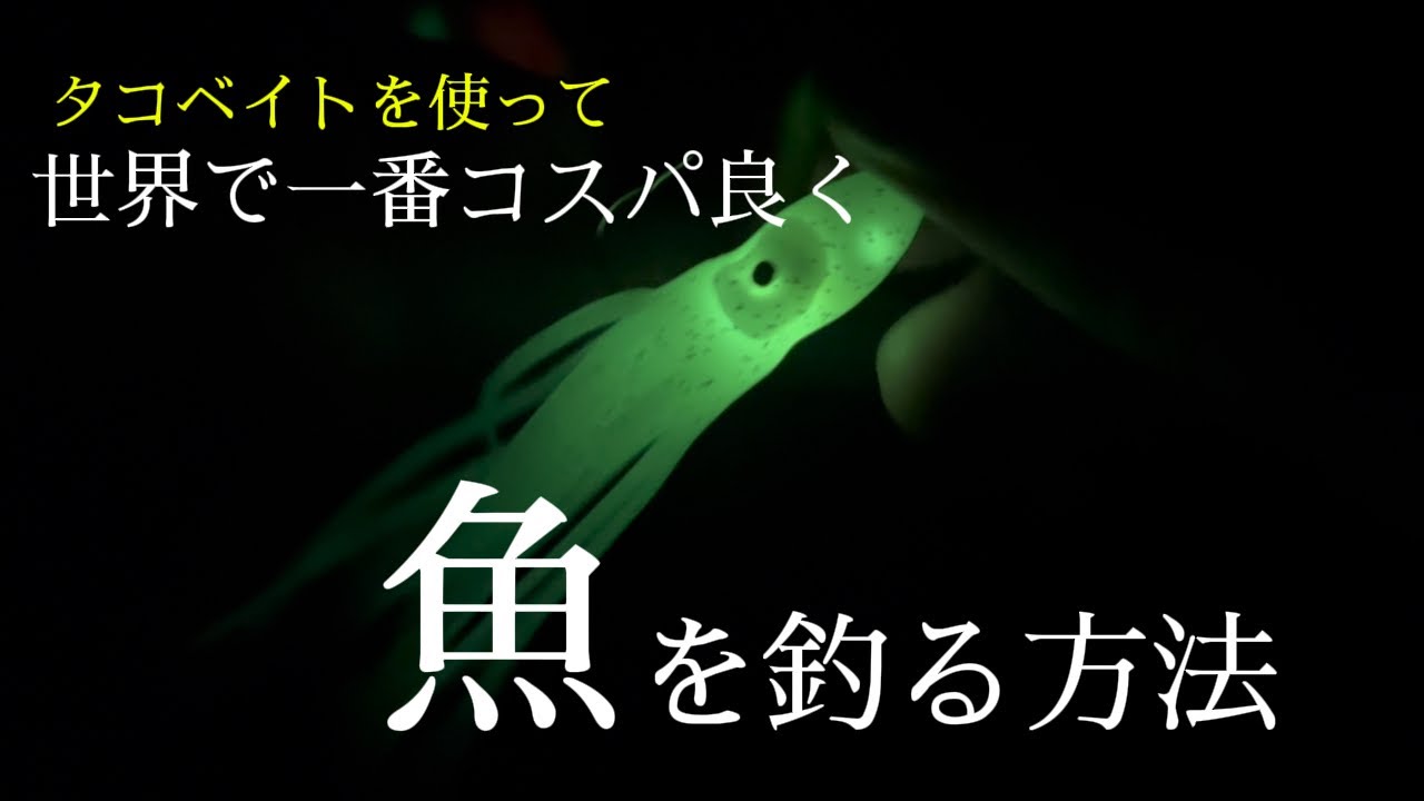 タコベイトを使って世界で一番コスパ良く魚を釣る方法【DAISOダイソールアー】Seriaセリア【マゴチ&ヒラメ釣り】ショアジギング