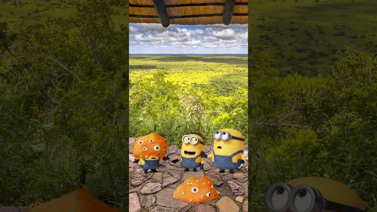 Video náhled