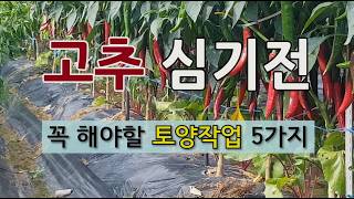 고추 심기 전 꼭 해야 할 토양 작업 5가지 단계 입니다. 이 영상만 따라 하신다면 올해 고추 농사 성공합니…