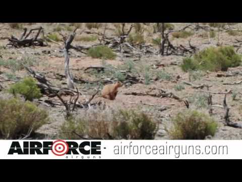 Airgun Prairie Dog Hunting - Airforce TalonP .25 Caliber