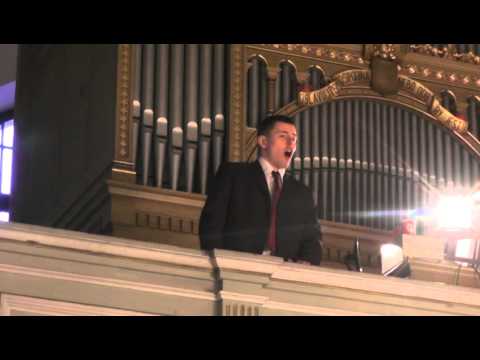 Keby som bol vtáčkom