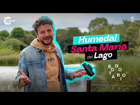 El Humedal Santa María del Lago une la memoria y la biodiversidad en medio del Bogotario | Bogotario