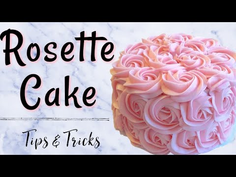 download lagu mp3 mp4 Rose Cake Tip Size, download lagu Rose Cake Tip Size gratis, unduh video klip Rose Cake Tip Size