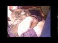 Spooky Wmv