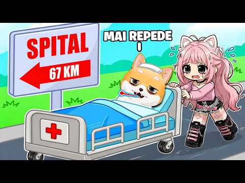 Mai am 30 de MINUTE de TRAIT in Roblox...