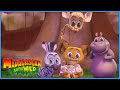 Babysitting Naughty Hedgehogs DreamWorks Madagascar