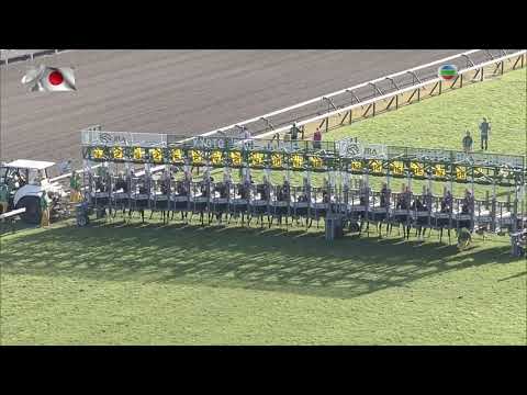 Shuka Sho Grade 1  2020