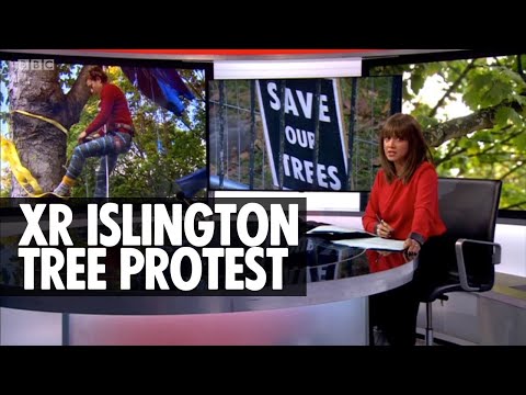 Islington Tree Protest | BBC London News | Extinction Rebellion UK