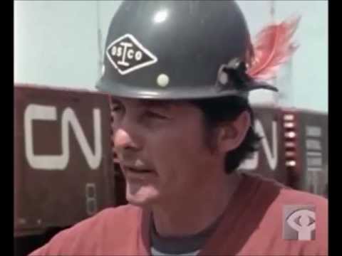 Incident at Restigouche 1981 (Mi'gwetetm 81)