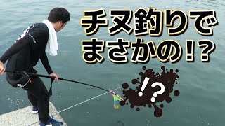 【釣り】海にはいろんな出会いがある