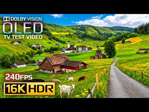 The Ultimate Visual Experience | 16K HDR 240fps Dolby Vision