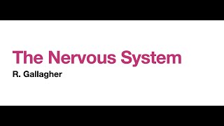The Nervous System