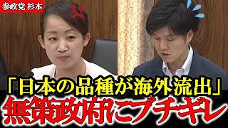 【参政党】〇国に盗まれる日本の品種 日本の農家さんを守らない無能大臣にブチギレ【高市早苗】【神谷宗幣】【杉本純子】#参政党 #記者会見 #神谷宗幣  #政治 #国政  #日本の政治