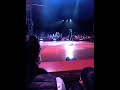 Big Apple Circus Part 2