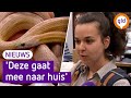 WURGSLANGEN, SCHORPIOENEN en VOGELSPINNEN in Nijmegen