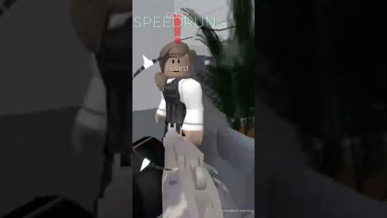 REAL STEALTH 100% SPEEDRUN!!!21!1#entrypoint