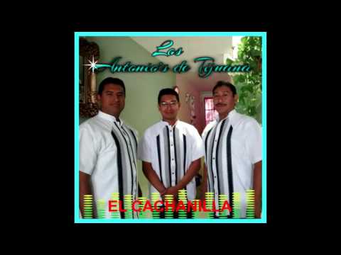 EL CACHANILLA -- LOS ANTONIOS DE TIJUANA---djcreativo