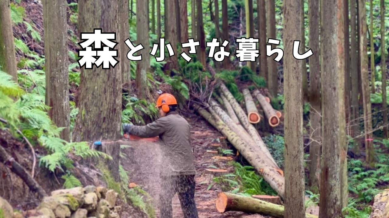 #69 森で働き、森で暮らす一日 | 雨と森の音 ASMR