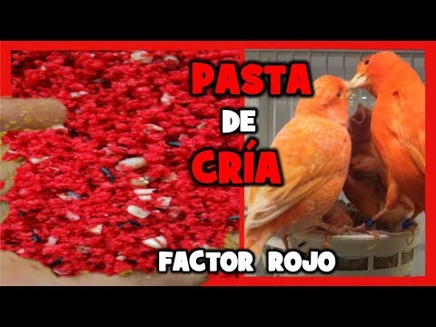 Crema per il viso in una farmacia da posti di pigmentary Variabilità di pelle e la sua pigmentazione