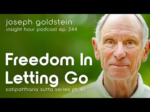 Freedom in Letting Go with Joseph Goldstein – Insight Hour Ep.244 – Satipatthana Sutta Series Pt.41