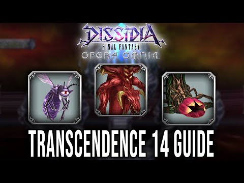 DFFOO - Transcendence 14 Guide