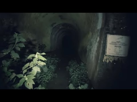 Ki Suryo Wijoyo Sao Datangi Terowongan Philips