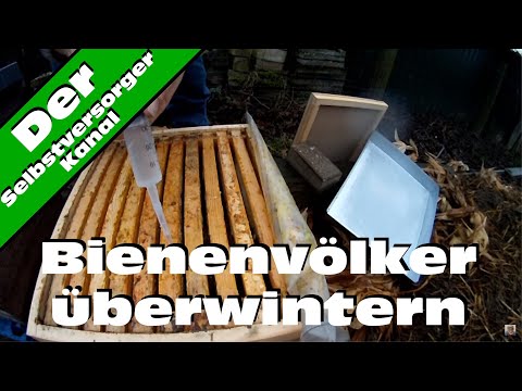 , title : 'Bienenvölker überwintern'